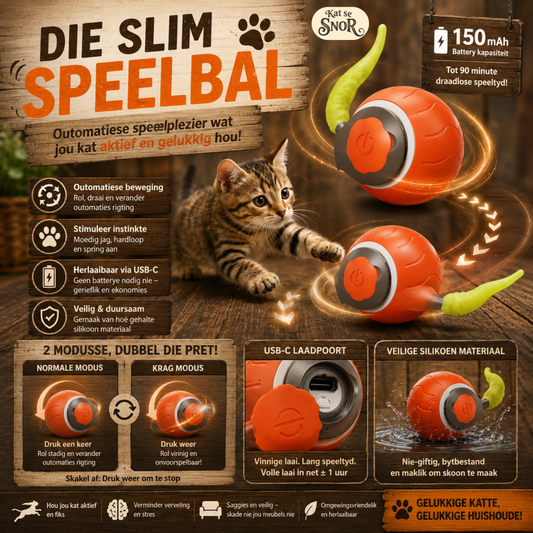 Die Mal-Bal 🎾