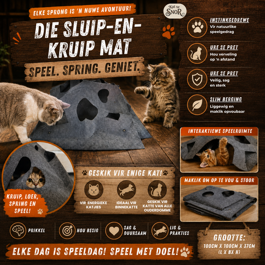 Sluip-en-Kruip Speelmat 🐾